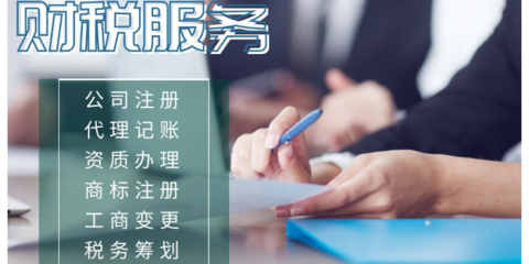 企業(yè)稅務(wù)籌劃與事務(wù)登記代理 成功策略與實(shí)踐
